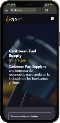 CFS /images/home/projects/csf.png